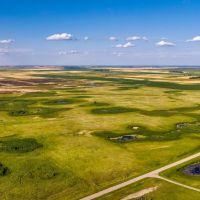 Aneta land with income images 3