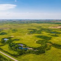 Aneta land with income images 4