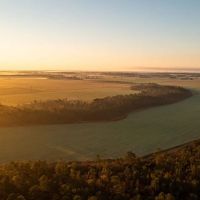 The Finger Farm images 2