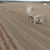 The Finger Farm images 5
