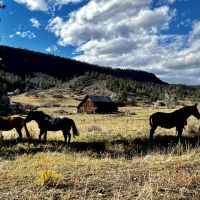 Yellow Jacket Creek Ranch