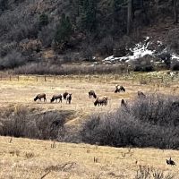 Yellow Jacket Creek Ranch images 3
