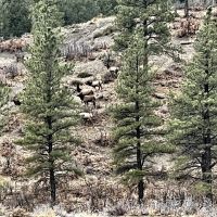 Yellow Jacket Creek Ranch images 4