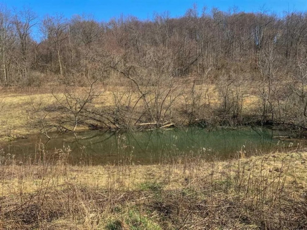 Millersdale Rd. Westmoreland County 133 acres Hunting Land for