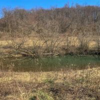 Millersdale Rd. Westmoreland County - 133 - acres