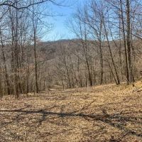 Millersdale Rd. Westmoreland County - 133 - acres images 2