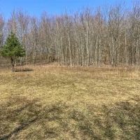Millersdale Rd. Westmoreland County - 133 - acres images 4