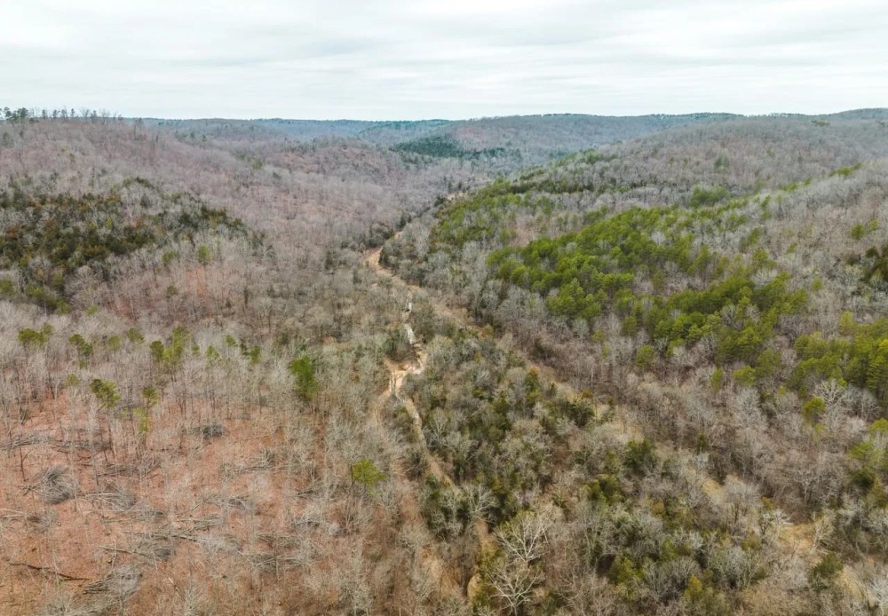 Current River 40 featured image