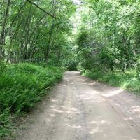 Anderson Woodlands images 3