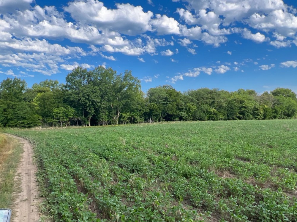 Income Producing Hunting Property featured image