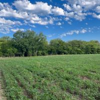 Income Producing Hunting Property
