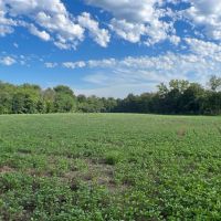 Income Producing Hunting Property images 2