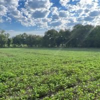 Income Producing Hunting Property images 3