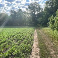 Income Producing Hunting Property images 4