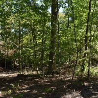 Hunter s Hidden Treasure images 4