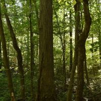 Hunter s Hidden Treasure images 5