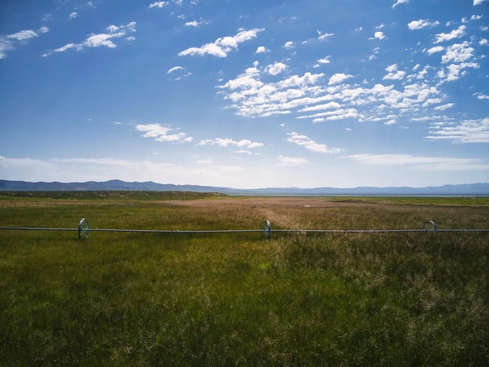 Flowing Wells aka Chicken Ranch featured image