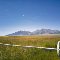 Flowing Wells aka Chicken Ranch images 3