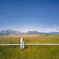 Flowing Wells aka Chicken Ranch images 4