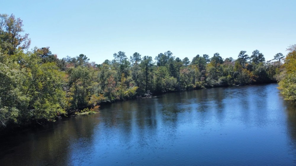 Satilla River Timber Hunting Tract Hunting Land for Sale