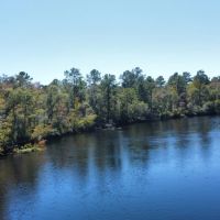Satilla River Timber Hunting Tract