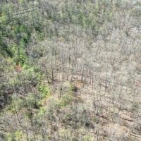 Dalzell Rd - 8 acres - Washington County images 4