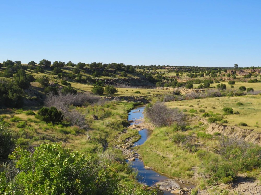 Bow and Arrow Ranch featured image
