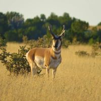 Bow and Arrow Ranch images 2