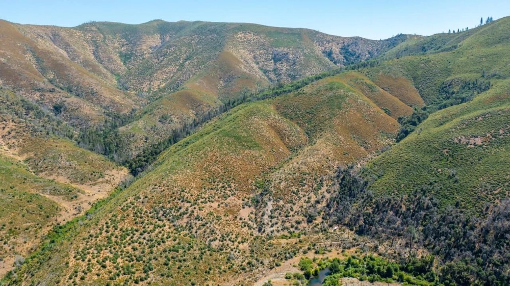 French Gulch Territory featured image