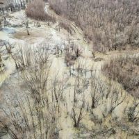Southside Land Co. Shares and Camps images 3