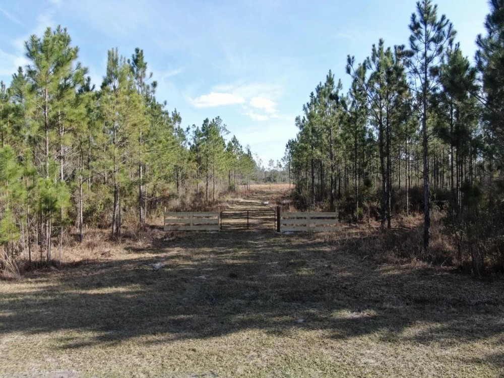 Aucilla Plantation 48.23 featured image