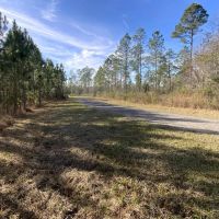 Aucilla Plantation 48.23 images 2