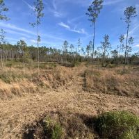 Aucilla Plantation 48.23 images 5