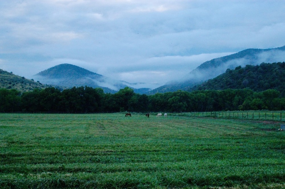 Rio Frisco Farm featured image