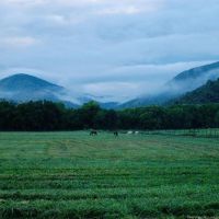 Rio Frisco Farm