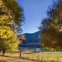 Rio Frisco Farm images 2