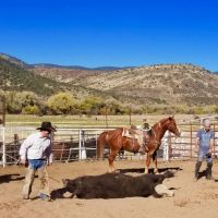 Rio Frisco Farm images 4