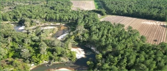113 Acres with a Home in Covington County at 222 Gilmer Road in Taylorsville MS featured image