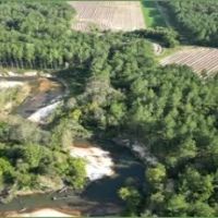 113 Acres with a Home in Covington County at 222 Gilmer Road in Taylorsville MS