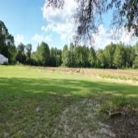 113 Acres with a Home in Covington County at 222 Gilmer Road in Taylorsville MS images 5