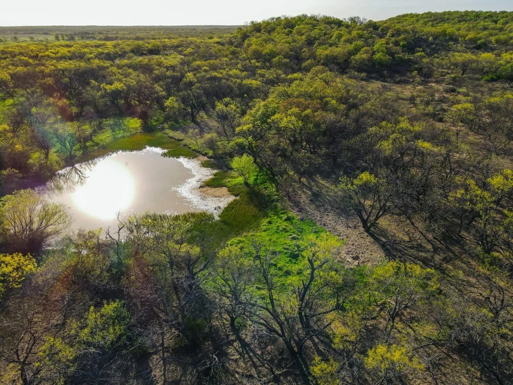 High Point Ranch featured image