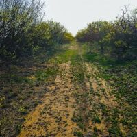 High Point Ranch images 2