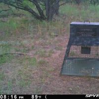High Point Ranch images 3