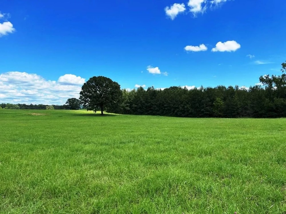 280 - Acres Multi-use farm in Colbert Co. AL featured image