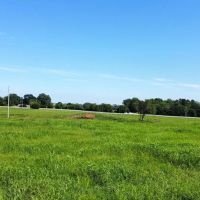 280 - Acres Multi-use farm in Colbert Co. AL images 2