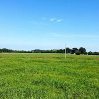 280 - Acres Multi-use farm in Colbert Co. AL images 3