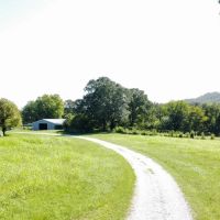 280 - Acres Multi-use farm in Colbert Co. AL images 4