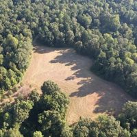 Hunting Land for Sale in Natchez MS images 2