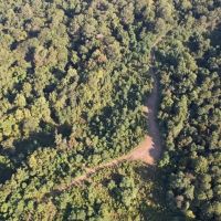 Hunting Land for Sale in Natchez MS images 3