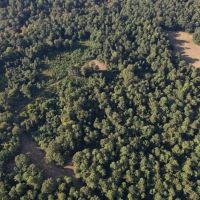 Hunting Land for Sale in Natchez MS images 4